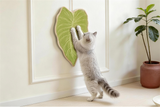 Botanical Scratch Mat